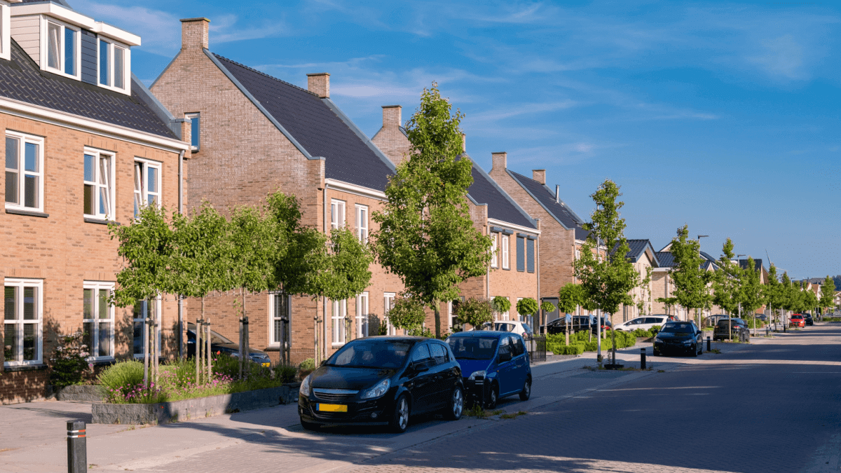 Hollanda'da Araba Satın Alma Rehberi